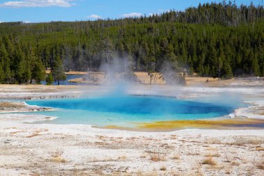 Yellowstone Ulusal Parkı 'ndaki kara kum gayzer havzası, ABD