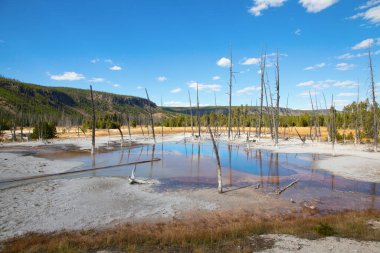Yellowstone Ulusal Parkı 'ndaki kara kum gayzer havzası, ABD