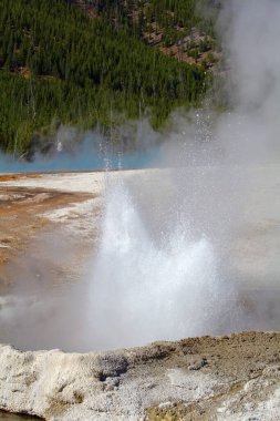 Yellowstone Ulusal Parkı 'ndaki kara kum gayzer havzası, ABD