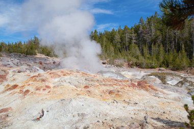 Norris gayzer havzası Yellowstone Ulusal Parkı, ABD