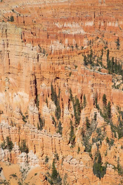 Bryce Canyon National Park Utah Verenigde Staten — Stockfoto