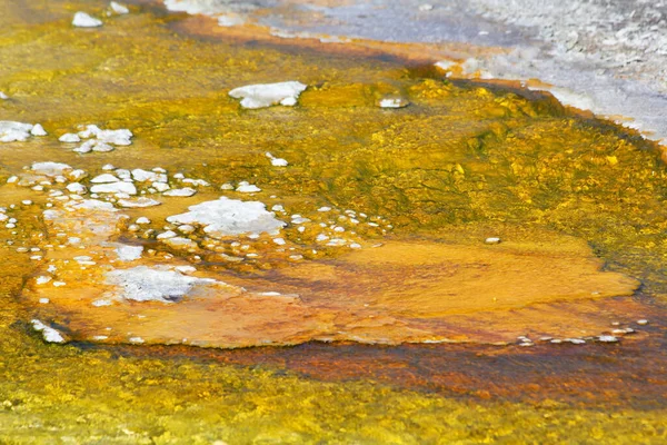 Gejzír Černého Písku Yellowstonském Národním Parku Usa — Stock fotografie