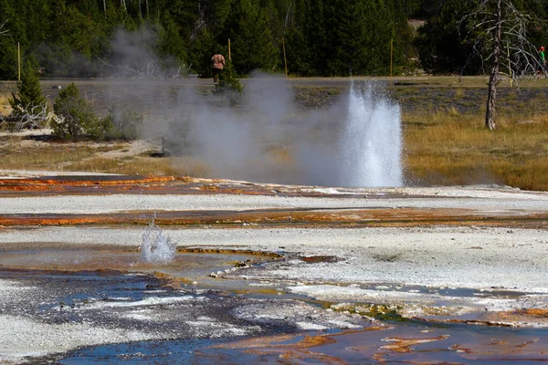 Λεκάνη Γεώτρησης Μαύρης Άμμου Στο Εθνικό Πάρκο Yellowstone Ηπα — Φωτογραφία Αρχείου