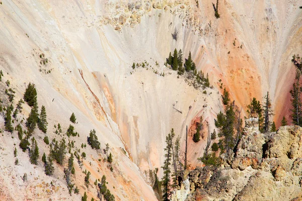 Wodospad Kanion Parku Narodowym Yellowstone Wyoming Usa — Zdjęcie stockowe