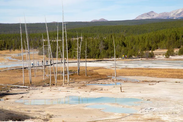 Cuenca Del Géiser Norris Parque Nacional Yellowstone Estados Unidos — Foto de Stock