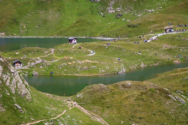 在瑞士斯威斯阿尔卑斯山中远足 Grindelwald上方的高山路线 瑞士伯尔尼州Jungfrau地区 — 图库照片