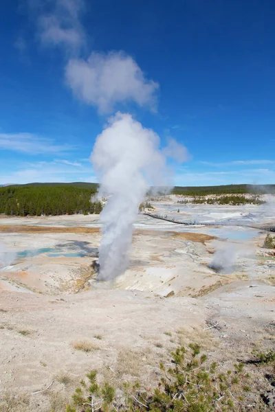 Bacino Geyser Norris Nel Parco Nazionale Yellowstone Stati Uniti — Foto Stock