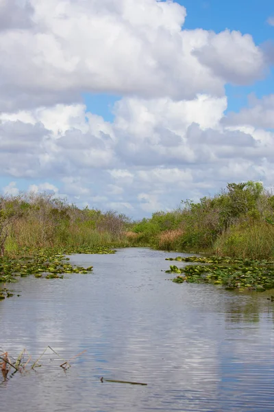 Národní Park Everglades Florida Usa — Stock fotografie