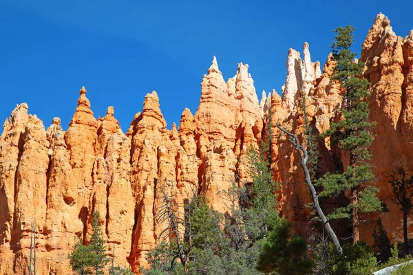 Parque Nacional Del Cañón Bryce Utah —  Fotos de Stock