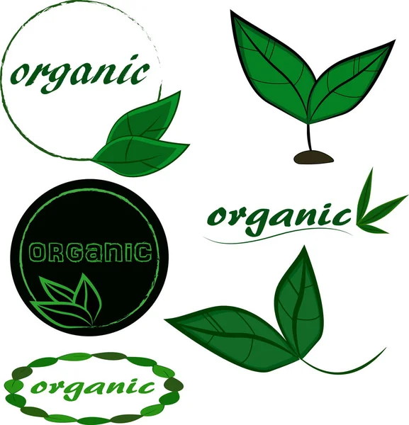 Green organic logo — Stock Photo, Image