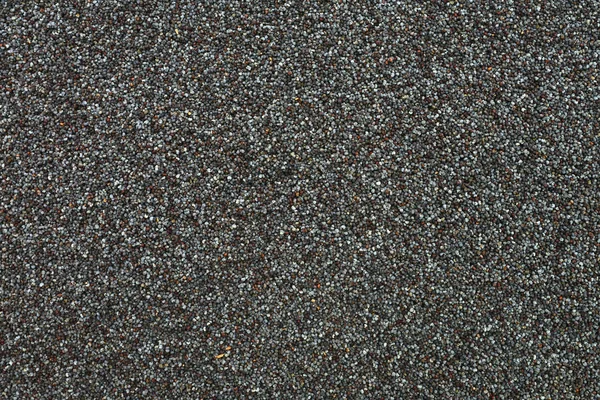 Dry poppy seeds texture — Stock Photo, Image