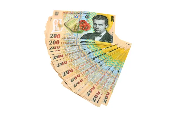 Roemeense geld stapel — Stockfoto