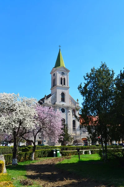 Aiud kasaba kilise — Stok fotoğraf