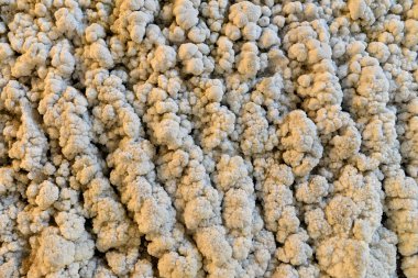 tuz benim doku duvar