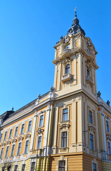Cluj Napoca city hall tower — Stok fotoğraf