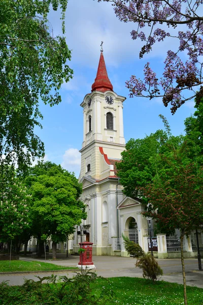 Kikinda igreja católica — Fotografia de Stock