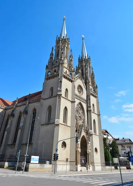 Cattedrale di Vrsac St Gerhard — Foto Stock