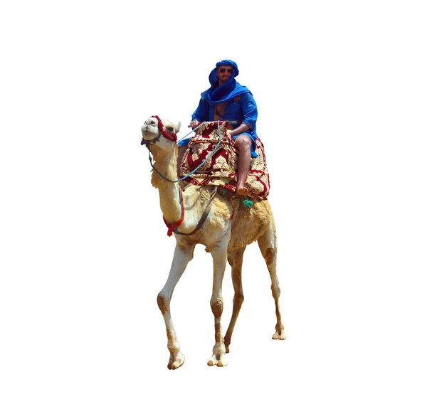 Berber på kamel isolerade — Stockfoto