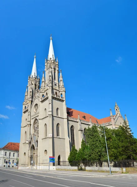 Vrsac Cathedral St Gerhard — Stock Photo, Image