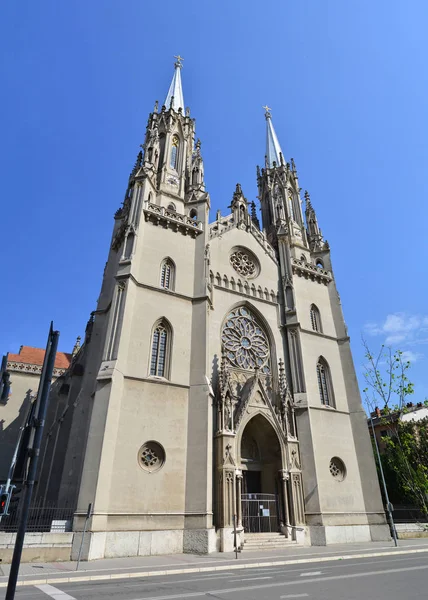 Vršac katedralen St Gerhard — Stockfoto