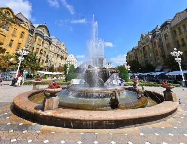 Timisoara balık çeşme