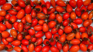 Kuşburnu meyve doku