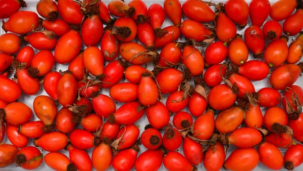 Kuşburnu meyve doku