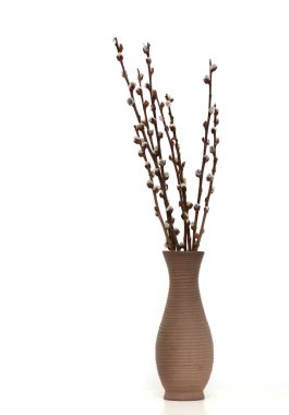 Beyaz arkaplan üzerinde Catkin Ağacı vazo düzenleme