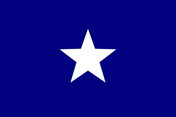 Bonnie Blue Flag Unofficial Banner Confederate States America — Stock Photo, Image