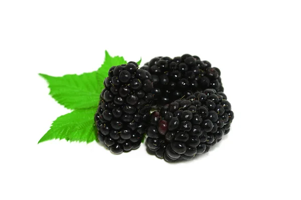 Ripe Blackberries Fruits Leaves White Background — Stock Photo, Image