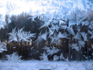 donmuş kış penceresi