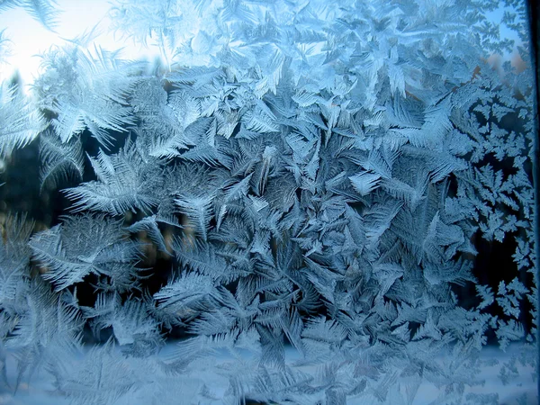 Modèle givré sur la fenêtre d'hiver — Photo