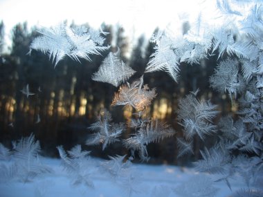 donmuş kış penceresi
