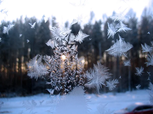 얼어붙은 겨울 창 고 태양 — 스톡 사진