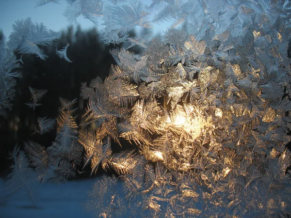 Zmrazené zimní okna a slunce — Stock fotografie