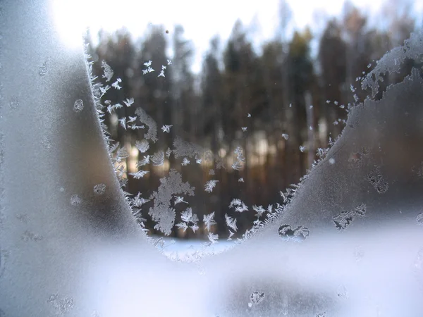 Ventana de invierno congelada — Foto de Stock