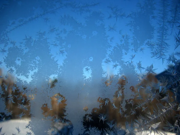 Zmrazené zimní okno — Stock fotografie