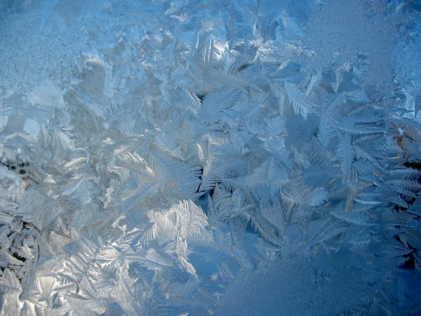 Frozen winter window Stock Image