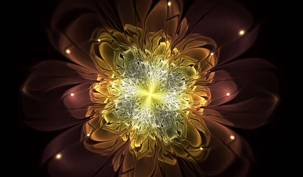 Abstrato flor forma fractal — Fotografia de Stock