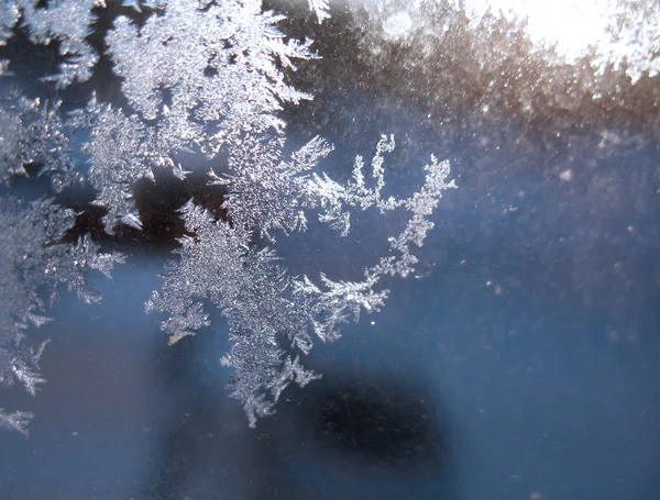 Modèle givré sur la fenêtre d'hiver — Photo