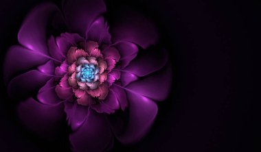 soyut çiçek fraktal şekli