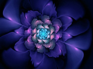 soyut çiçek fraktal şekli