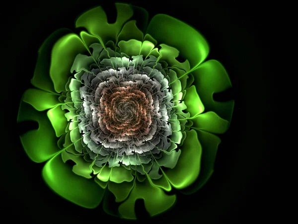 abstract flower fractal shape