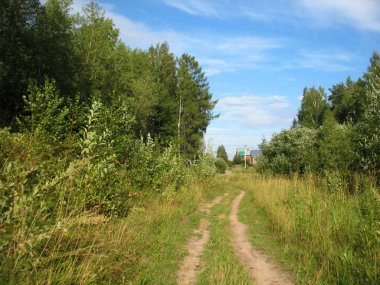 köy yolu, orman ve mavi gökyüzü