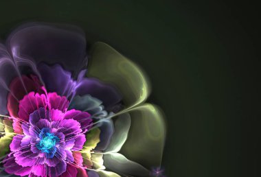 soyut çiçek fraktal şekli