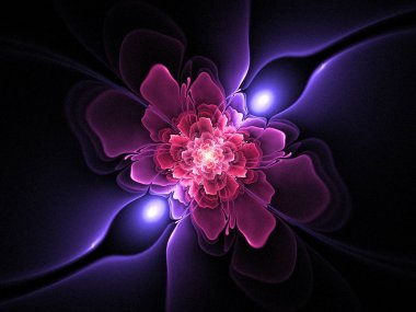 soyut çiçek fraktal şekli