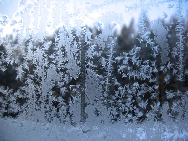 Fagyasztott téli ablak — Stock Fotó
