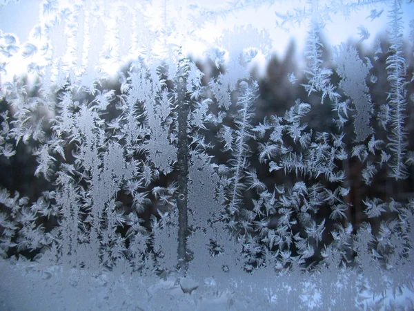 Bevroren winter venster — Stockfoto