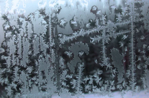 Ventana de invierno congelada —  Fotos de Stock