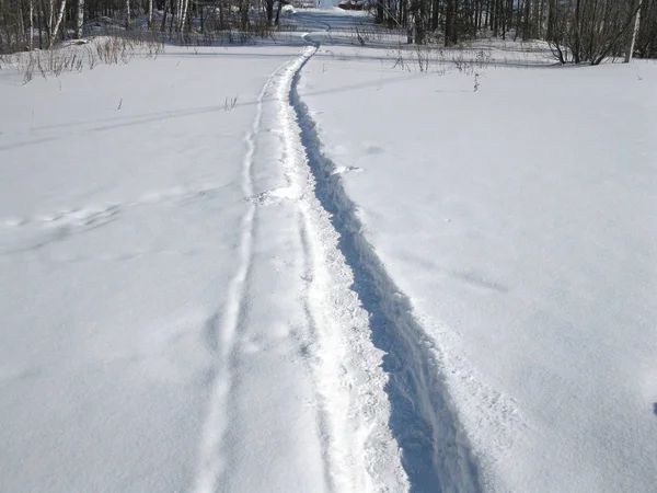 冬の森林と雪のパス — ストック写真